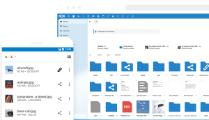 Nextcloud
Lien vers: https://nextcloud.com/fr/